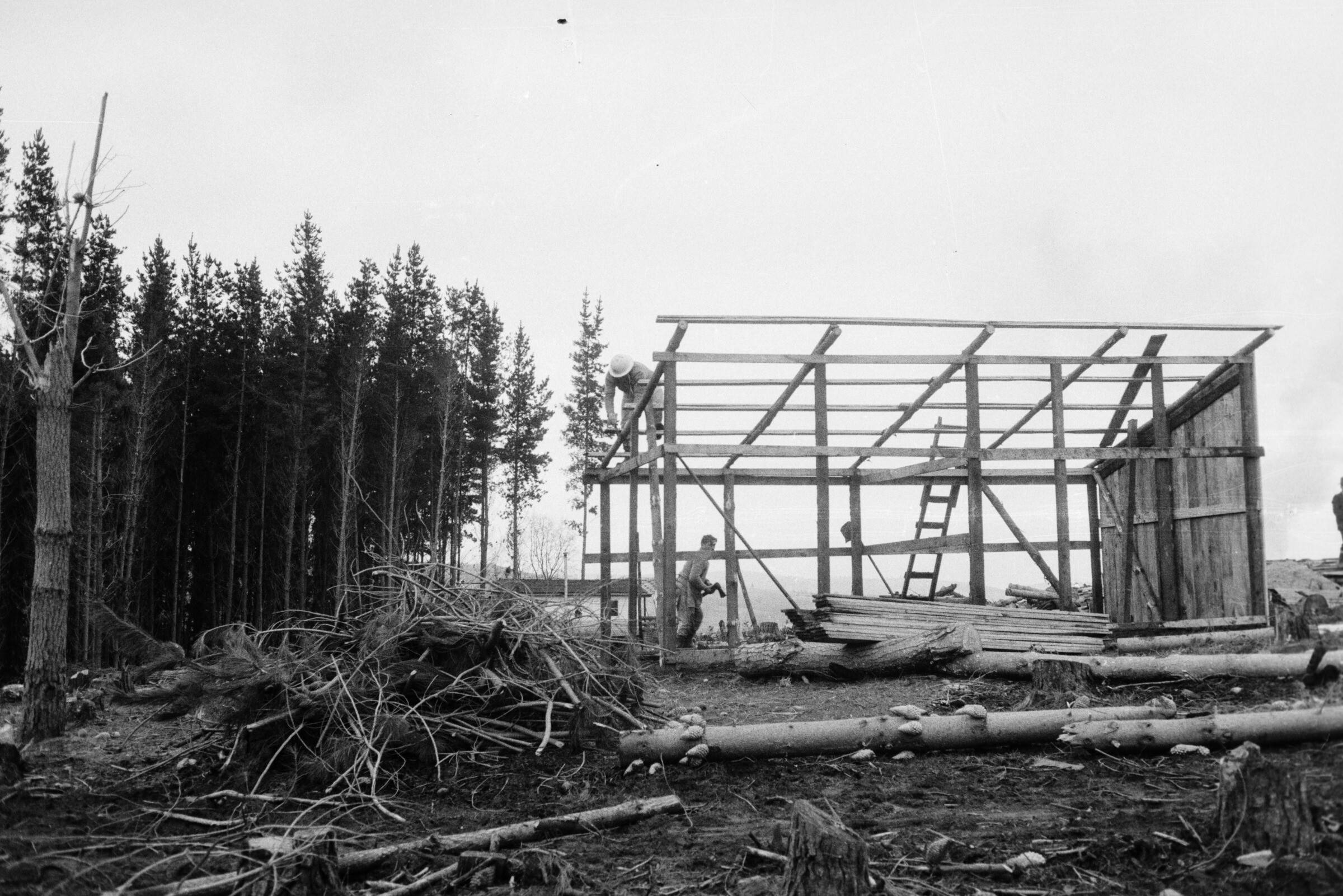 Serie del autor: Aserradero Stange. Cudico. Año 1970