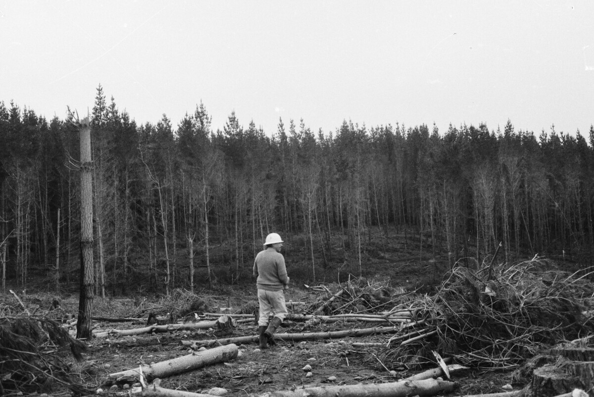 Serie del autor: Aserradero Stange. Cudico. Año 1970