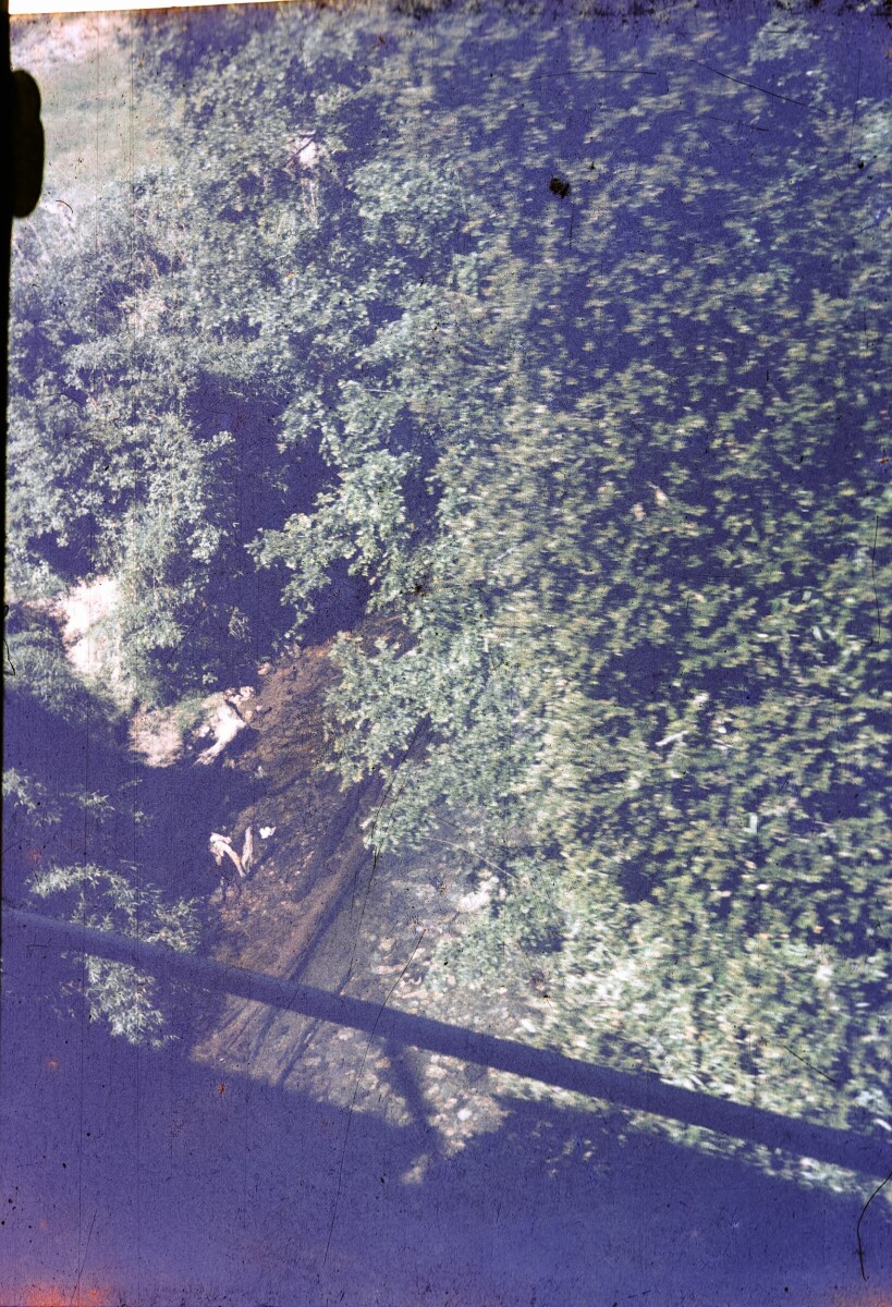 vista superior de un río rodeado de árboles