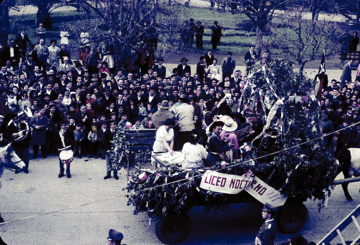 Plano entero de carro decorado con ramas y cartel -Liceo Nocturno- colgando, con personas en su interior, tirado por bueyes, desfilando por calle Prat con gran cantidad de personas observando alrededor