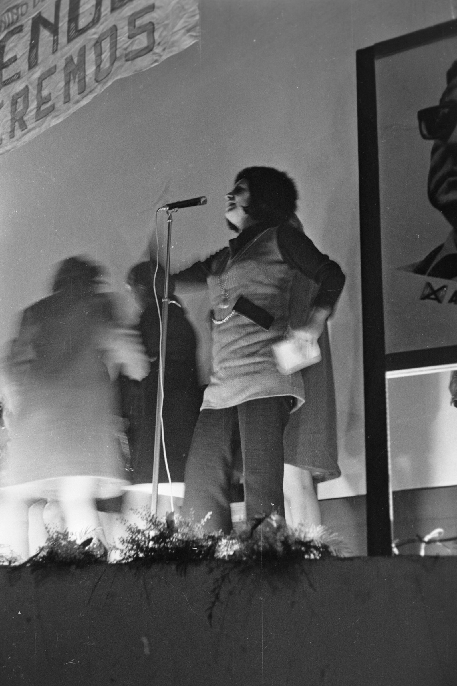 Serie del autor: Comando femenino de La Unión Allende Venceremos. Año 1970