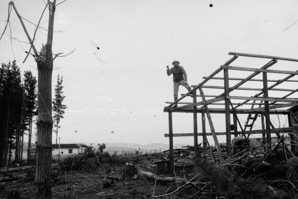 Serie del autor: Aserradero Stange. Cudico. Año 1970