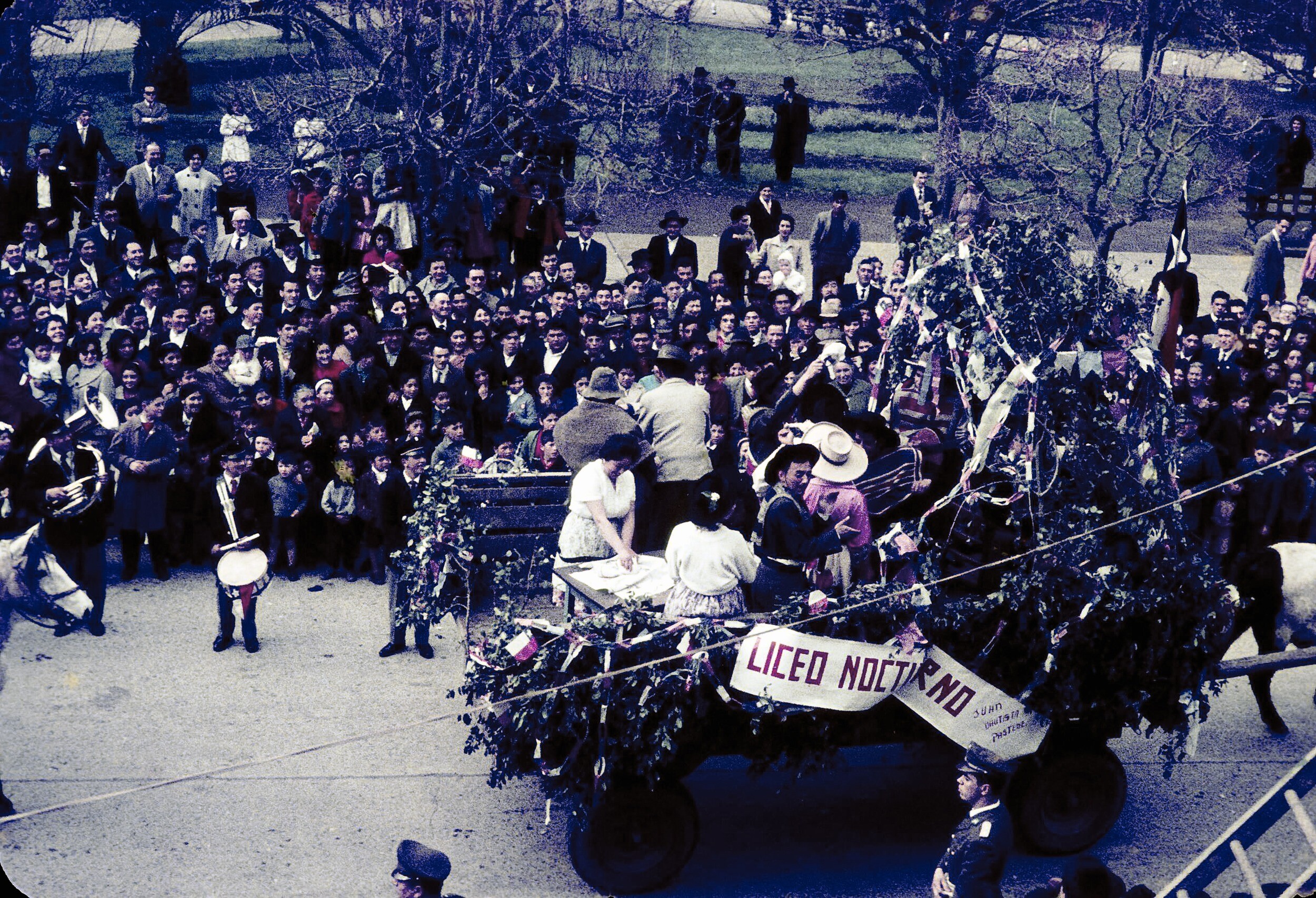 Plano entero de carro decorado con ramas y cartel -Liceo Nocturno- colgando, con personas en su interior, tirado por bueyes, desfilando por calle Prat con gran cantidad de personas observando alrededor