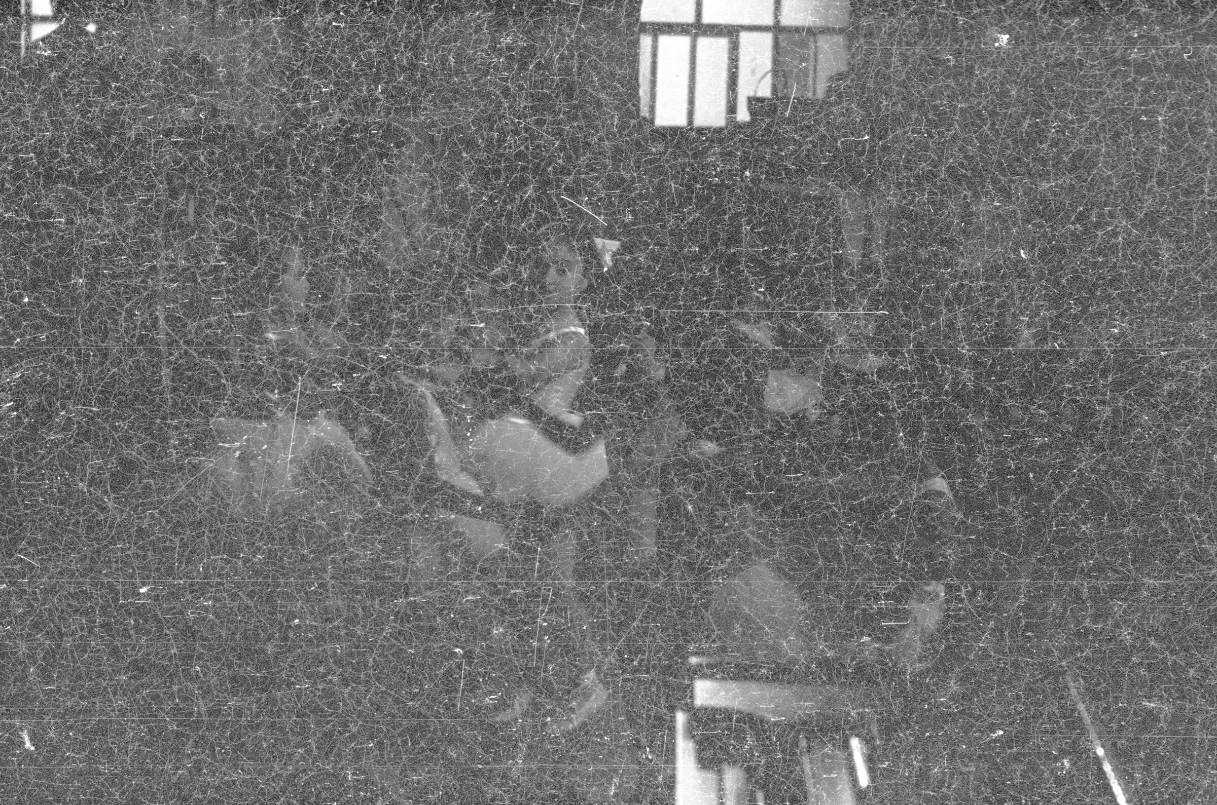 plano general de un grupo de niñas, caracterizadas como bailarinas de ballet, realizando una presentación artística. Se encuentran en una estructura no identificada. Fotografía oscura