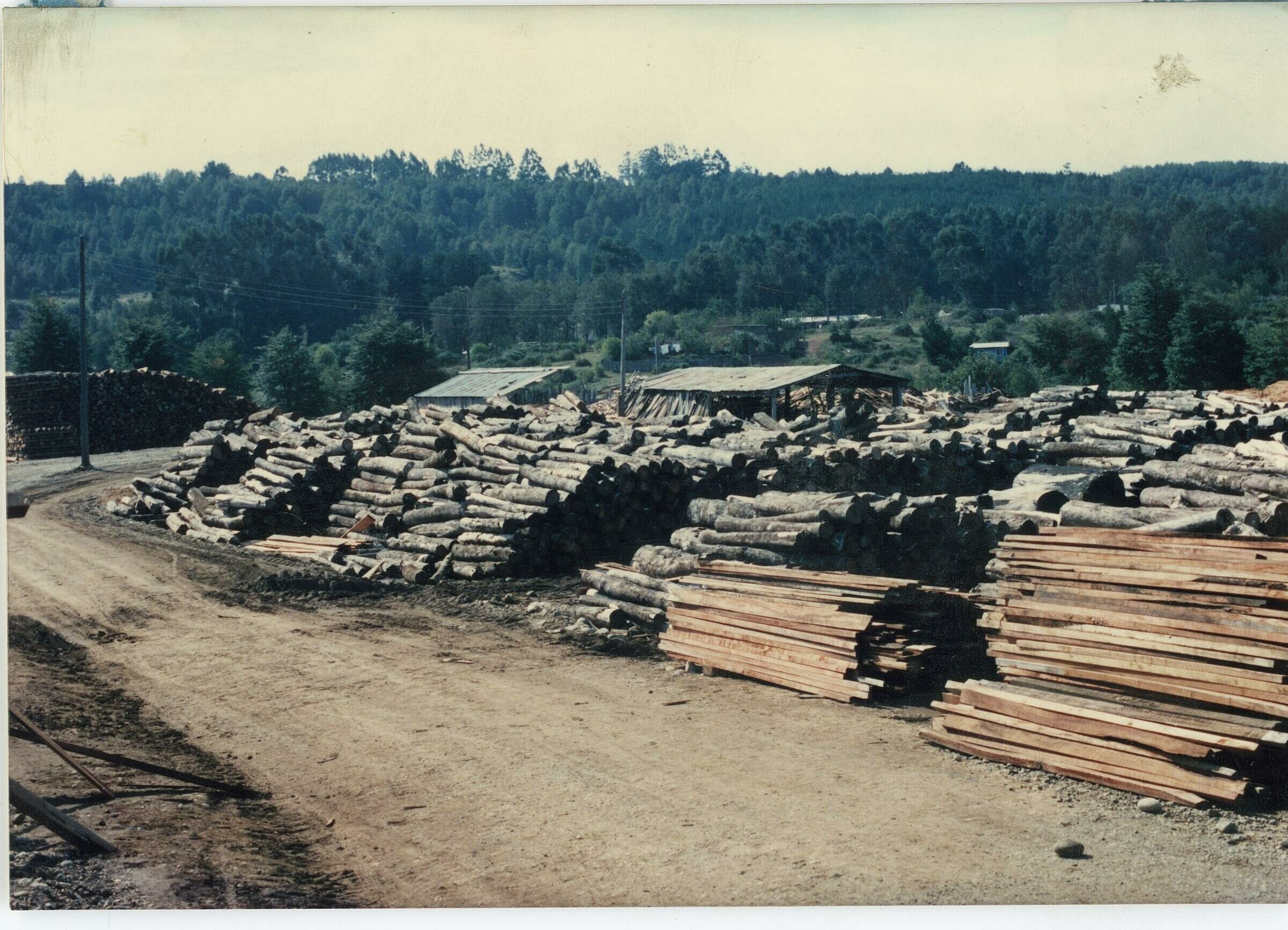 plano general de rumas de madera y troncos ubicados en el aserradero de la Compañía carbonífera San Pedro de Catamutún