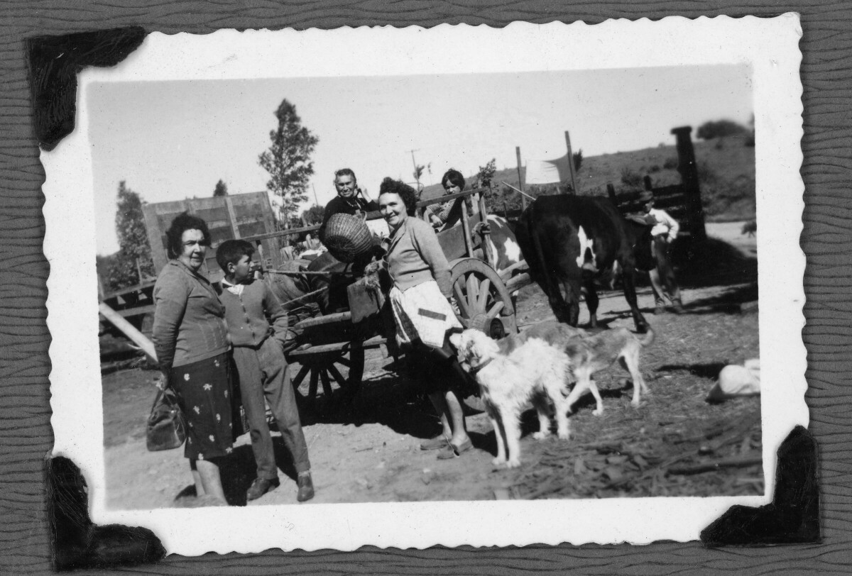 Grupo de personas alrededor y sobre una carreta tirada por una yunta de bueyes. Sobre la carreta, un hombre mayor y un niño. La carreta tiene colgado un canasto de mimbre. Junto a la carreta, dos mujeres adultas, un niño y dos perros. Al fondo, frente a los bueyes, un hombre adulto.