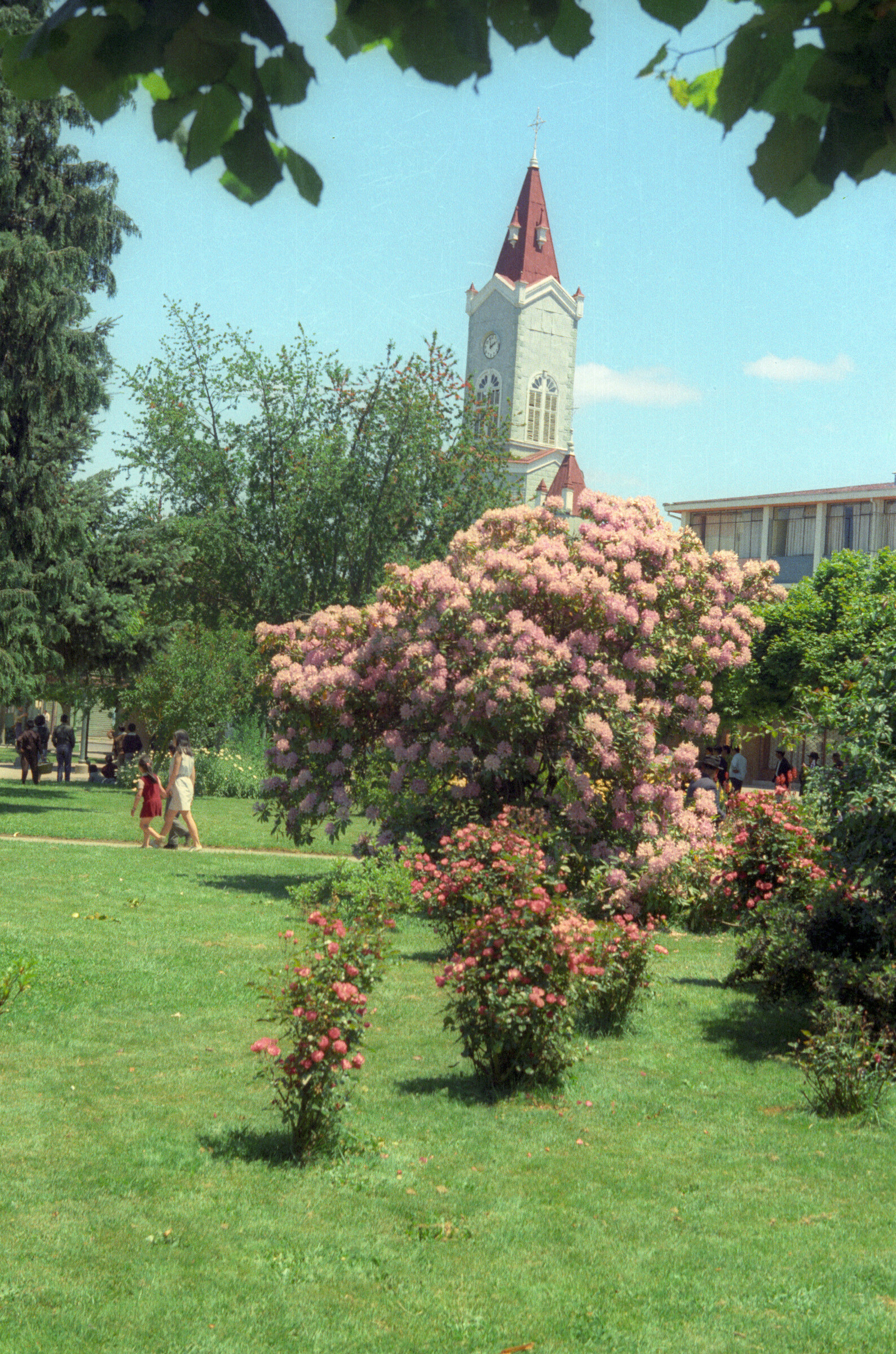 Plano general de la plaza de la Concordia. Se puede observar las flores de su interior y la cúpula en el fondo de la parroquia San José
