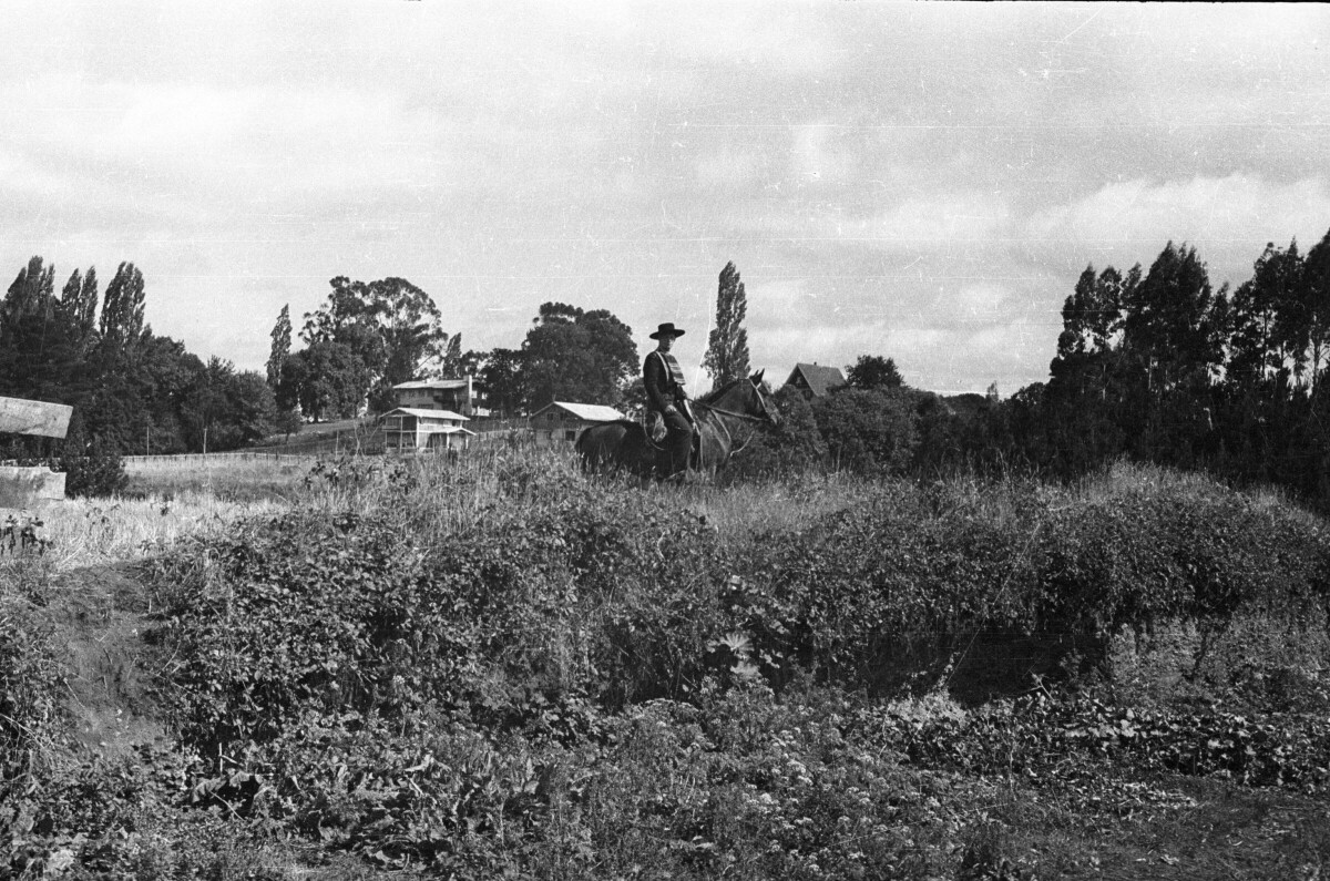 Retrato de plano general de un hombre posando montado en un caballo, el hombre está vestido de huaso chileno, está al medio de un área verde