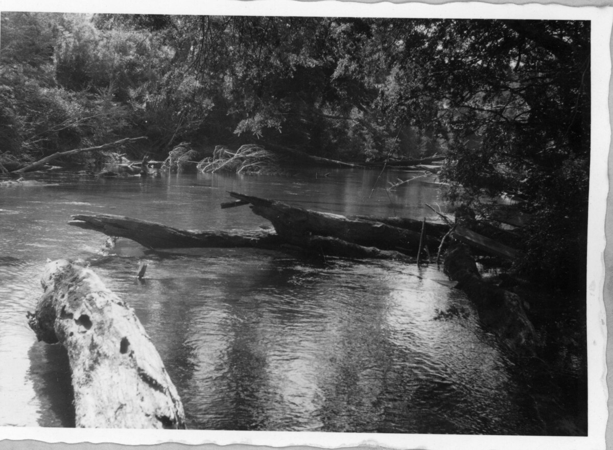 plano general de un RÍO no identificado. Sobre el agua hay dos troncos caídos. La fotografía fue tomada durante un paseo realizado desde Hueicolla a Corral