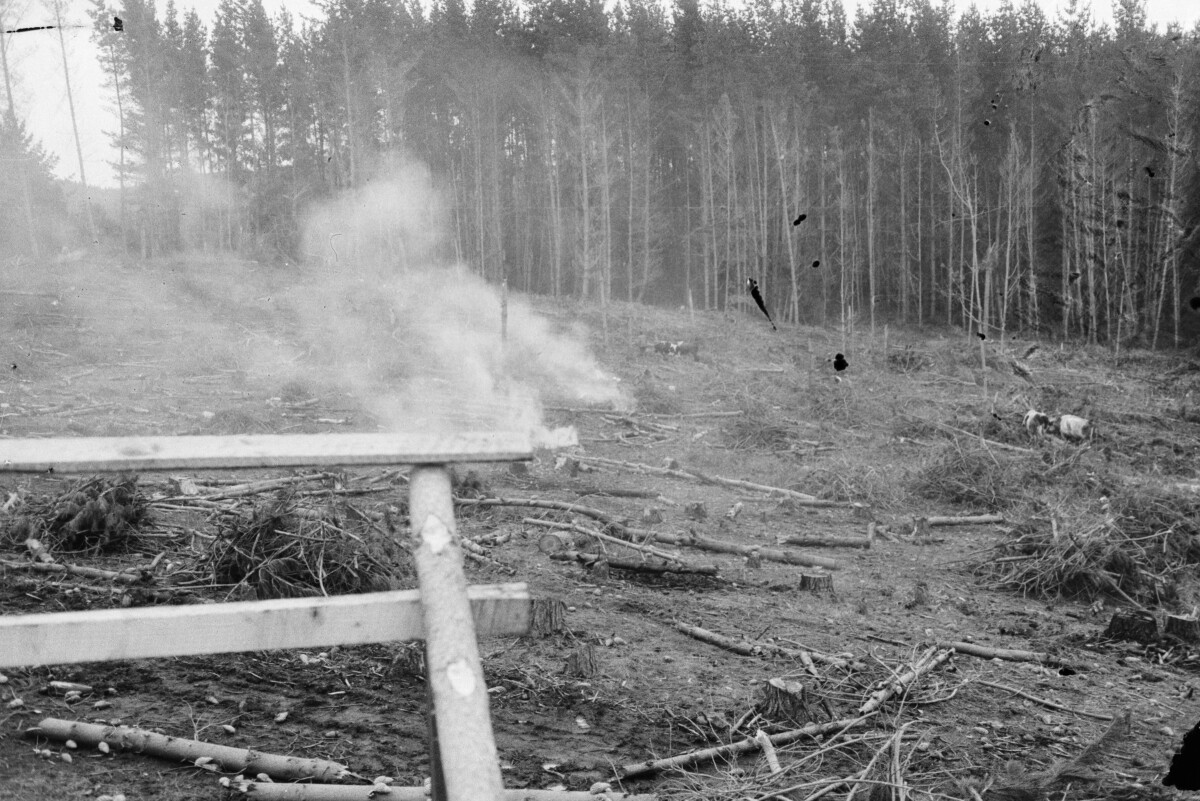 Serie del autor: Aserradero Stange. Cudico. Año 1970