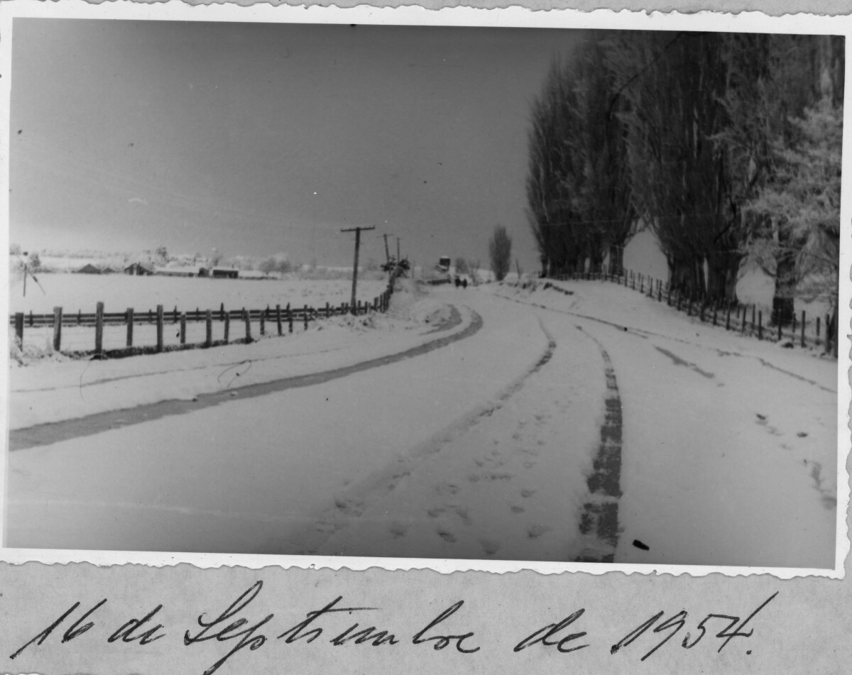 plano general de un camino no identificado cubierto de nieve al igual que todo el lugar que lo rodea. A un costado, junto al cerco, hay una hilera de álamos de gran tamaño. La fotografía fue tomada tras la nevazón caída en el año 1954