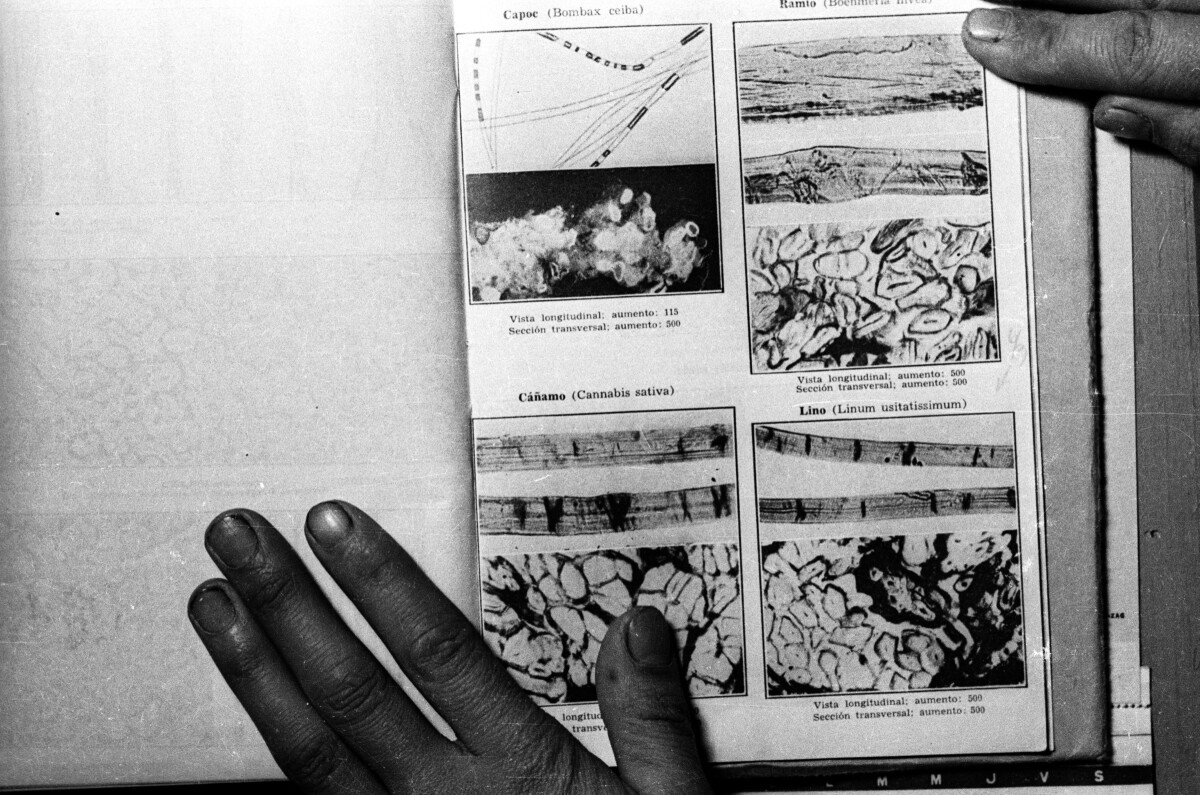 -Plano entero de dos planas del libro --fibras textiles-- escrito por Pablo Link el cual se encuentra apoyado sobre una pared. En sus paginas, se encuentran ilustraciones de lino y Cannabis sativa.-