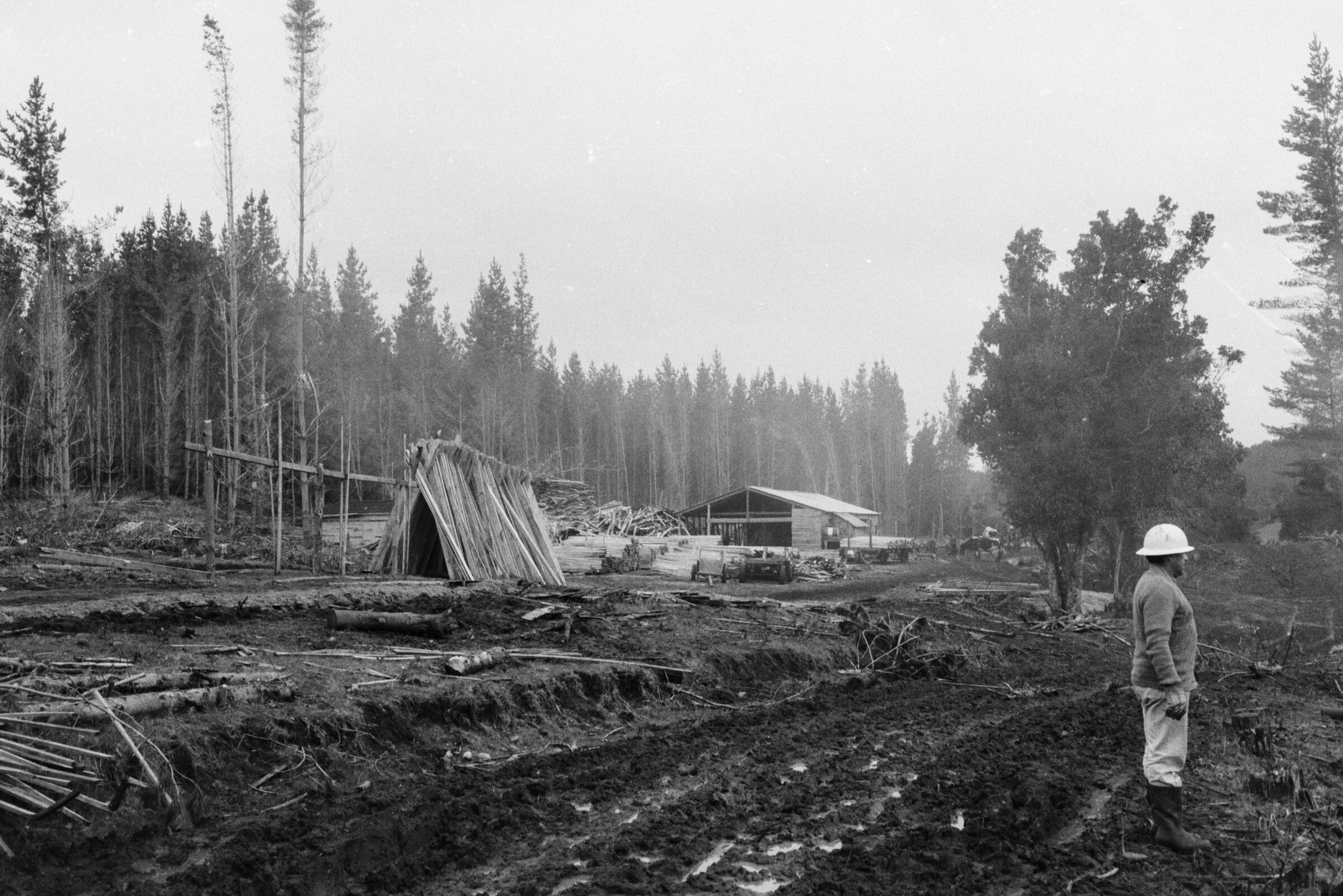 Serie del autor: Aserradero Stange. Cudico. Año 1970