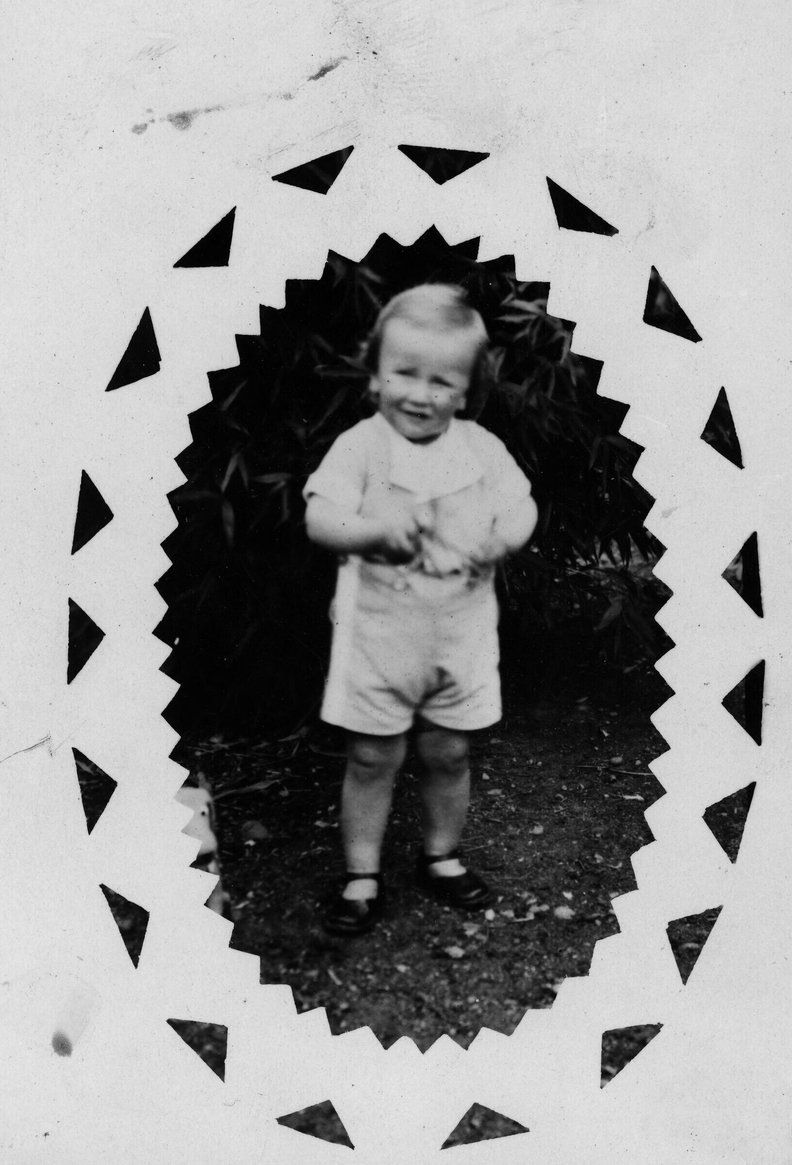 Retrato de plano entero de un niño posando entre los arbustos. Los bordes de la fotografía tienen un diseño.